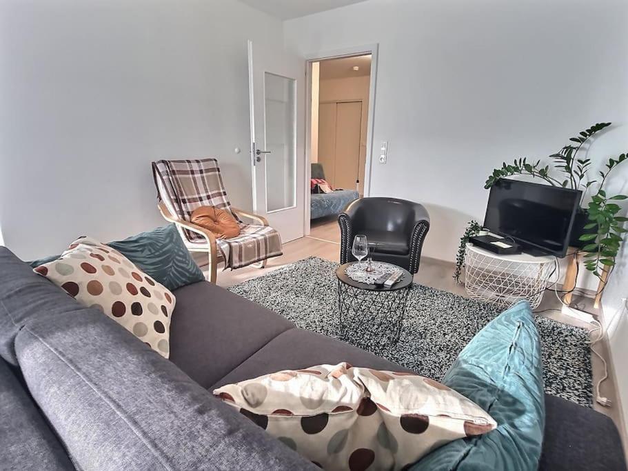 Superbe Appartement Avec 2 Balcons - Vue Sur La Cathedrale Environ 15 Min En Tram Στρασβούργο Εξωτερικό φωτογραφία